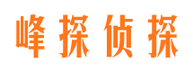 山城市调查公司